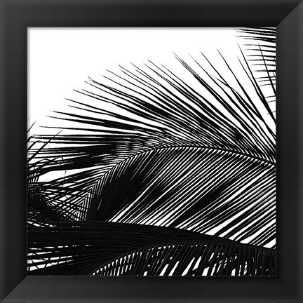 Framed Palms 13 (detail) Print