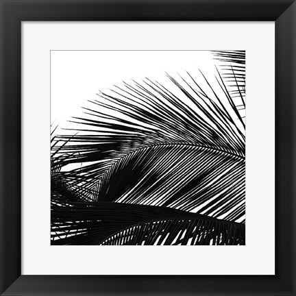 Framed Palms 13 (detail) Print