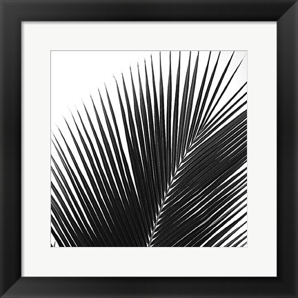 Framed Palms 14 (detail) Print