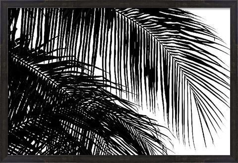 Framed Palms 3 Print