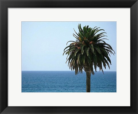 Framed Palm at Moonlight Beach Print