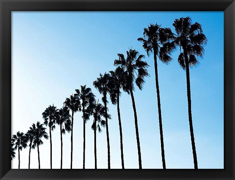 Framed La Jolla Palms Print