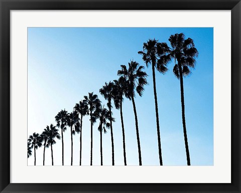 Framed La Jolla Palms Print