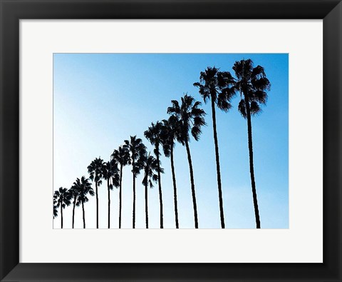 Framed La Jolla Palms Print