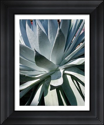 Framed Cactus 1 Print
