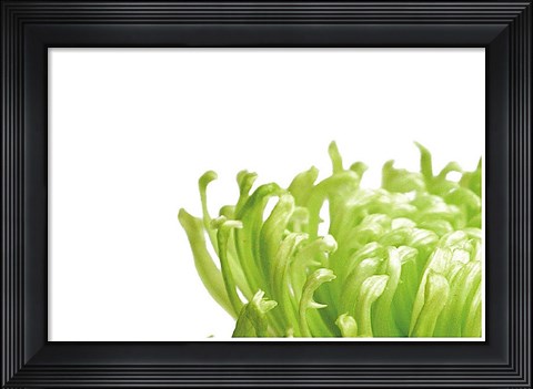 Framed Green Bloom 1 Print
