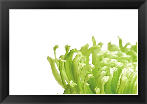 Framed Green Bloom 1 Print