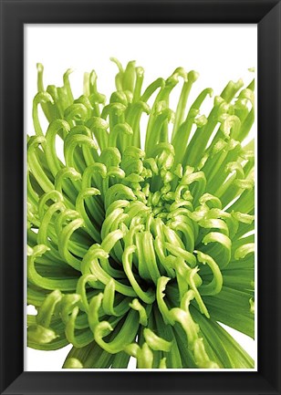 Framed Green Bloom 5 Print