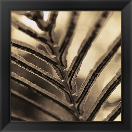 Framed Abstraction Print