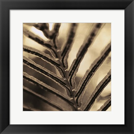 Framed Abstraction Print