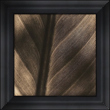 Framed Details Print