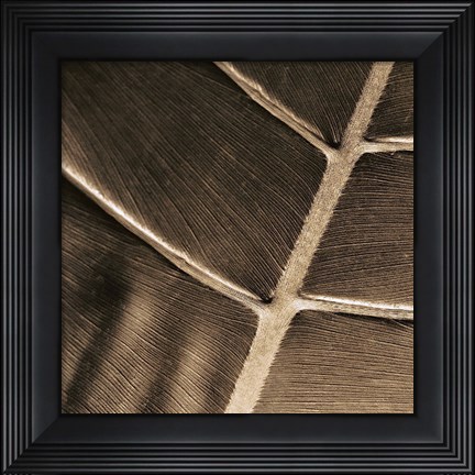 Framed Particular Print