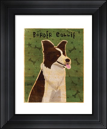 Framed Border Collie Print