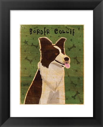 Framed Border Collie Print