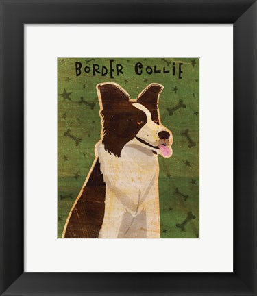 Framed Border Collie Print