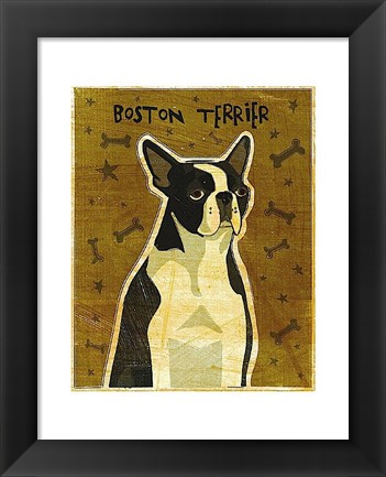 Framed Boston Terrier Print