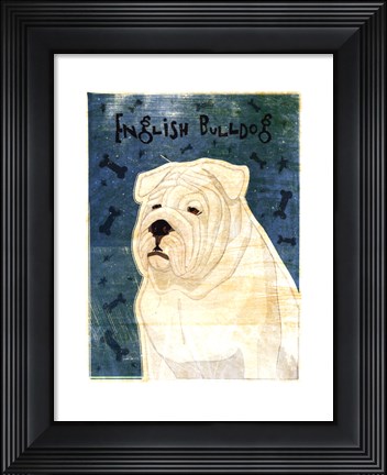 Framed English Bulldog Print