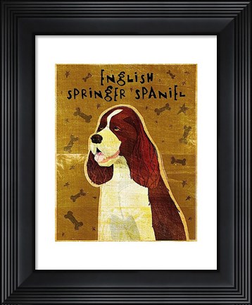 Framed English Springer Spaniel Print
