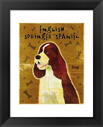 Framed English Springer Spaniel Print