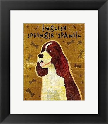 Framed English Springer Spaniel Print