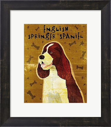 Framed English Springer Spaniel Print