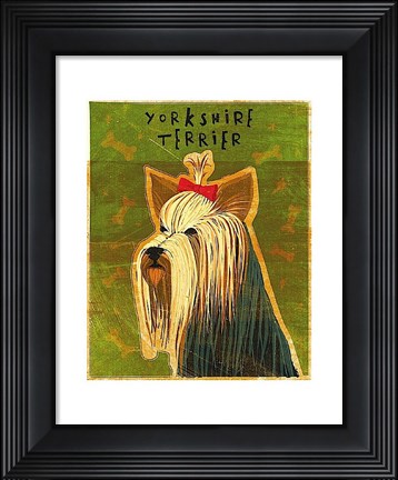 Framed Yorkshire Terrier Print