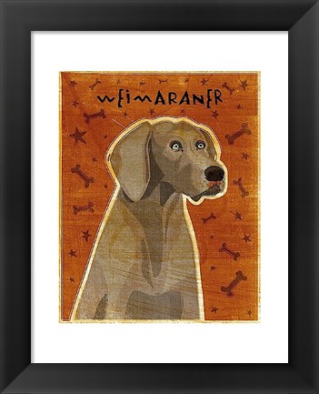 Framed Weimaraner Print