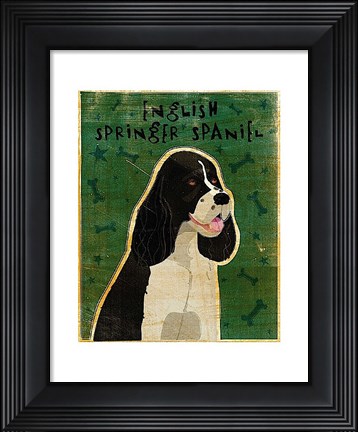 Framed English Springer Spaniel (black and white) Print