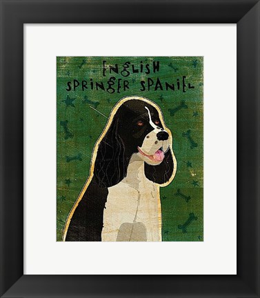 Framed English Springer Spaniel (black and white) Print