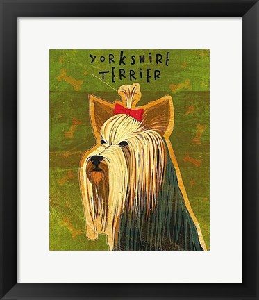 Framed Yorkshire Terrier Print