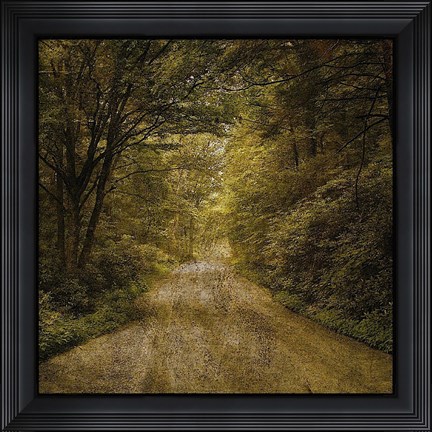 Framed Flannery Fork Road No. 1 Print
