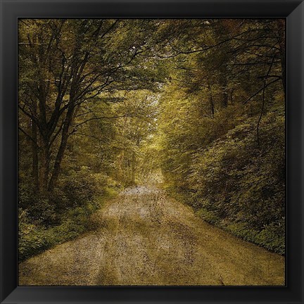 Framed Flannery Fork Road No. 1 Print