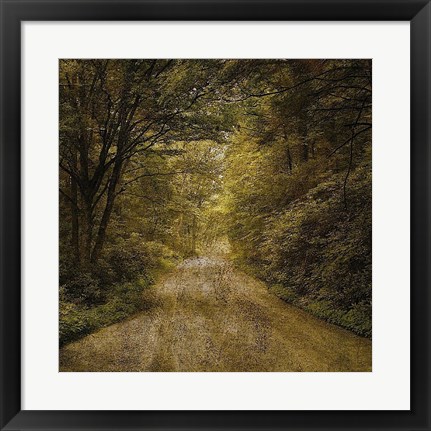 Framed Flannery Fork Road No. 1 Print