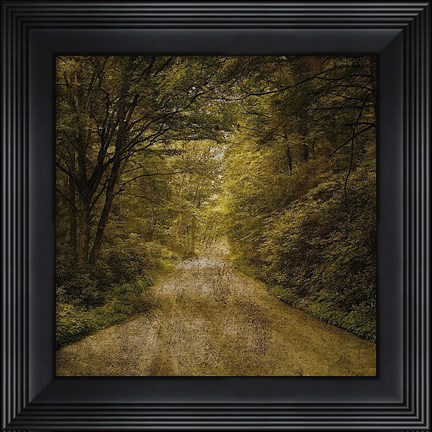 Framed Flannery Fork Road No. 1 Print