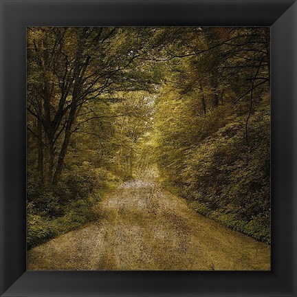 Framed Flannery Fork Road No. 1 Print