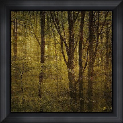 Framed Fog in Mountain Trees No. 2 Print
