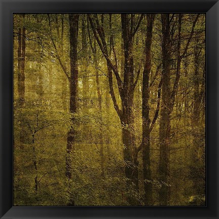 Framed Fog in Mountain Trees No. 2 Print