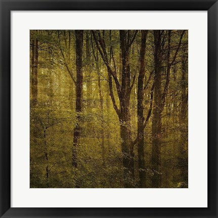 Framed Fog in Mountain Trees No. 2 Print