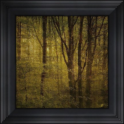 Framed Fog in Mountain Trees No. 2 Print