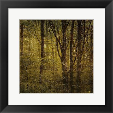 Framed Fog in Mountain Trees No. 2 Print