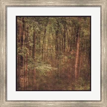 Framed Fog in Mountain Trees Print