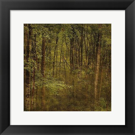 Framed Fog in Mountain Trees Print