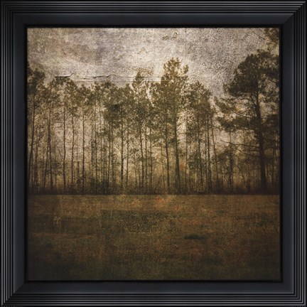 Framed Line of Pines Print