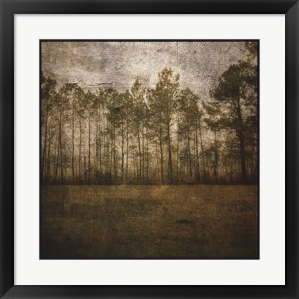 Framed Line of Pines Print