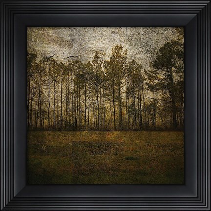 Framed Line of Pines Print