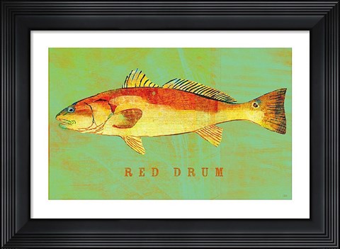 Framed Red Drum Print
