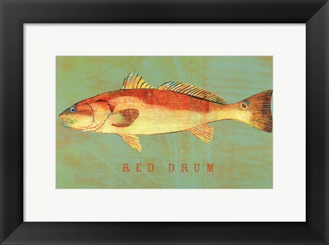 Framed Red Drum Print