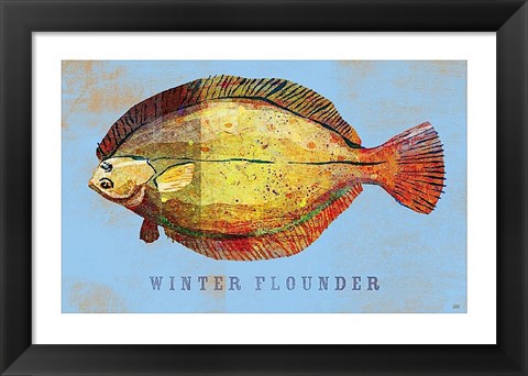 Framed Winter Flounder Print