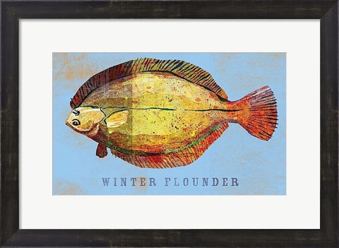 Framed Winter Flounder Print