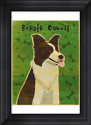 Framed Border Collie Print